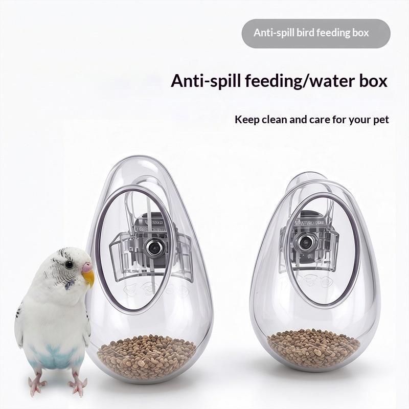 وعاء طعام للطيور معلق على الحا - مراجعة Feeding وسعره