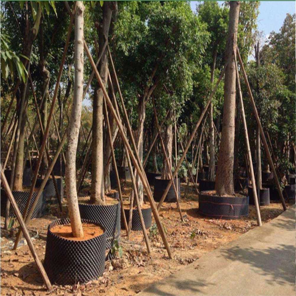 أداة زراعة وتحويل نباتات البون - مراجعة Nursery وسعره
